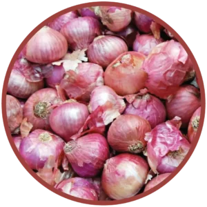 Onions